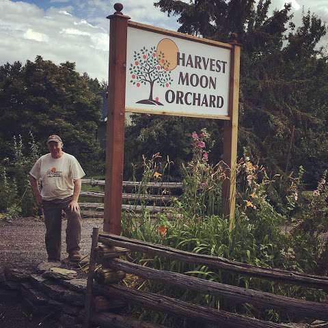 Harvest Moon Orchard