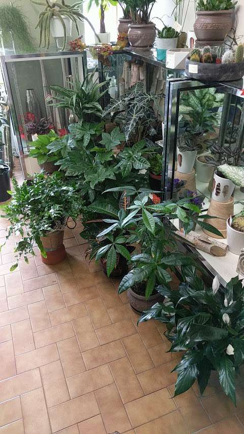 Hazeldean Florist Hazeldean Florist