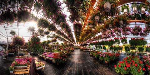 Les Serres Robert Plante Greenhouses