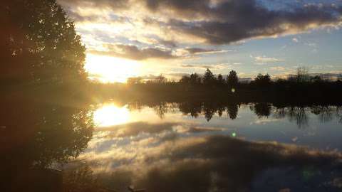 Long Island Marina