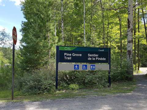 Pine Grove Trail